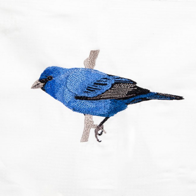 BFC1389 Colorful Birds of the US