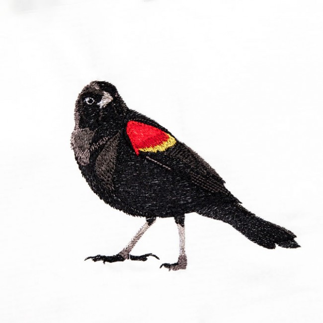 BFC1389 Colorful Birds of the US