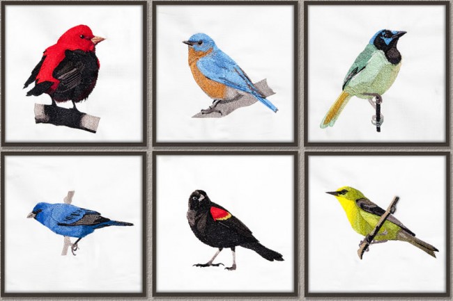 BFC1389 Colorful Birds of the US