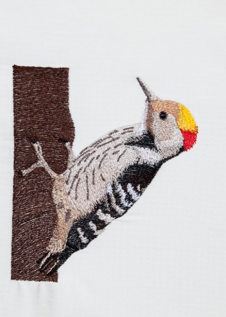 BFC1392 Woodpeckers
