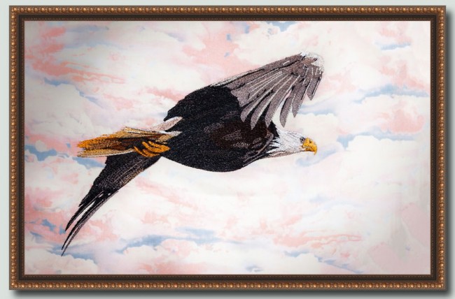 BFC1395 Large Eagle in Flight II