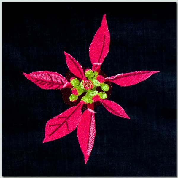 BFC1399 Three Poinsettias on Black