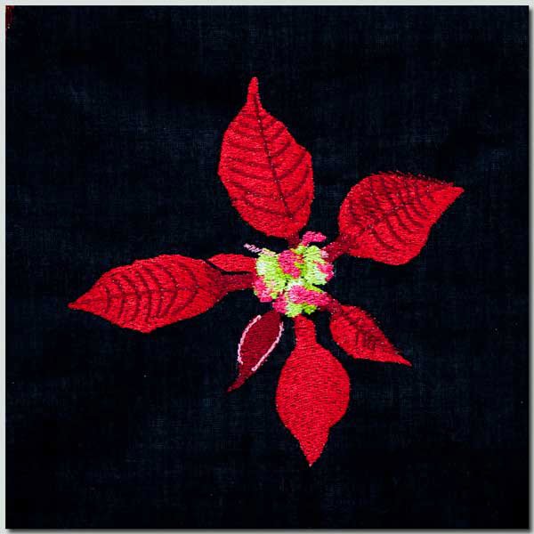 BFC1399 Three Poinsettias on Black