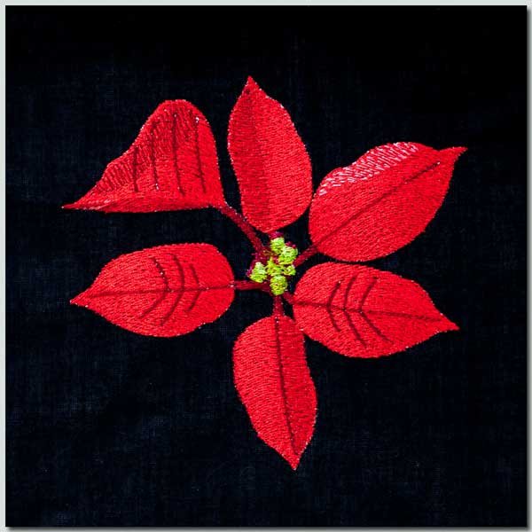 BFC1399 Three Poinsettias on Black