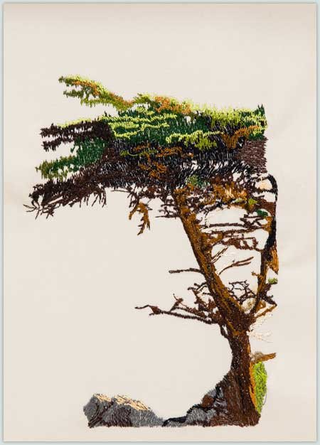 BFC1400 The Lone Cypress