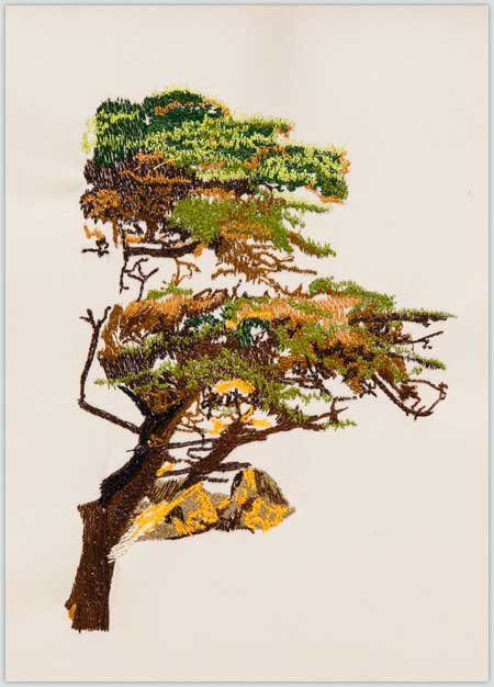 BFC1400 The Lone Cypress