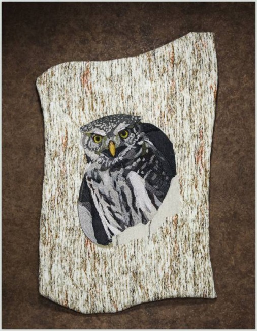 BFC1403 Large Pygmy Owl