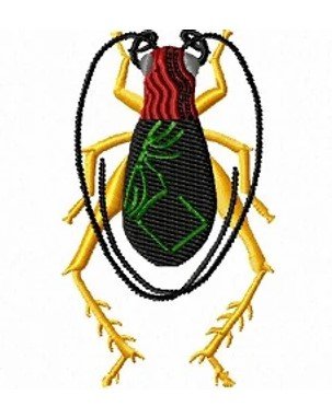 RMG141 Bush Cricket