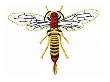 RMG142 Horntail Fly
