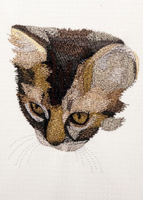 BFC1420 Large Kitten and Mouse