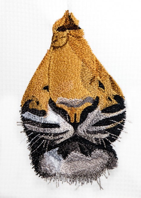 BFC1421 Large Tiger Portrait