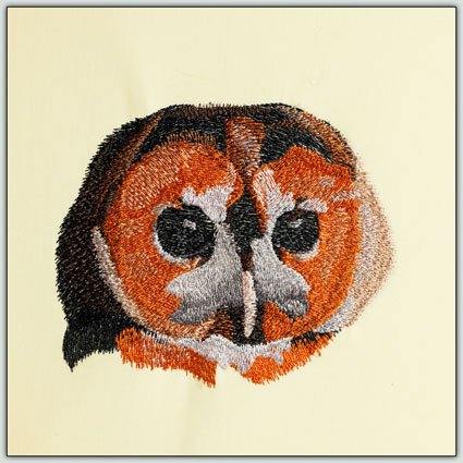BFC1431 Three Owl Portraits