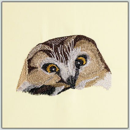 BFC1431 Three Owl Portraits