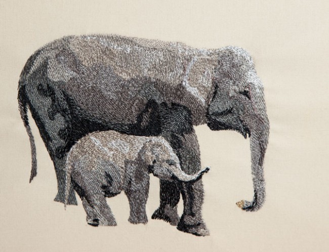 BFC1434 Endangered Species Series - Sumatran Elephant