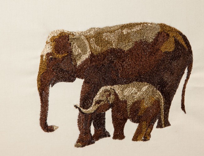 BFC1434 Endangered Species Series - Sumatran Elephant