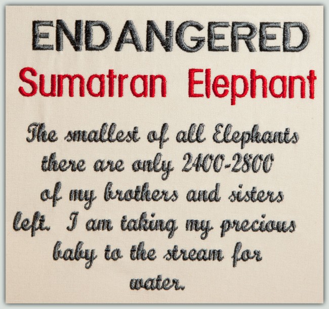 BFC1434 Endangered Species Series - Sumatran Elephant