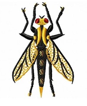 RMG144  Insect 144