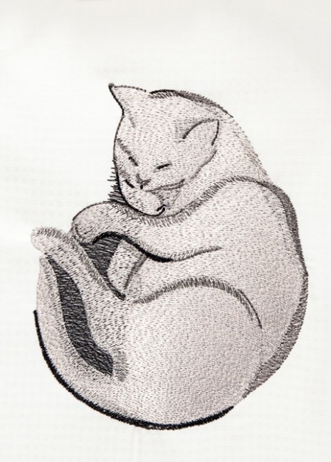 BFC1440 Fantastic Felines