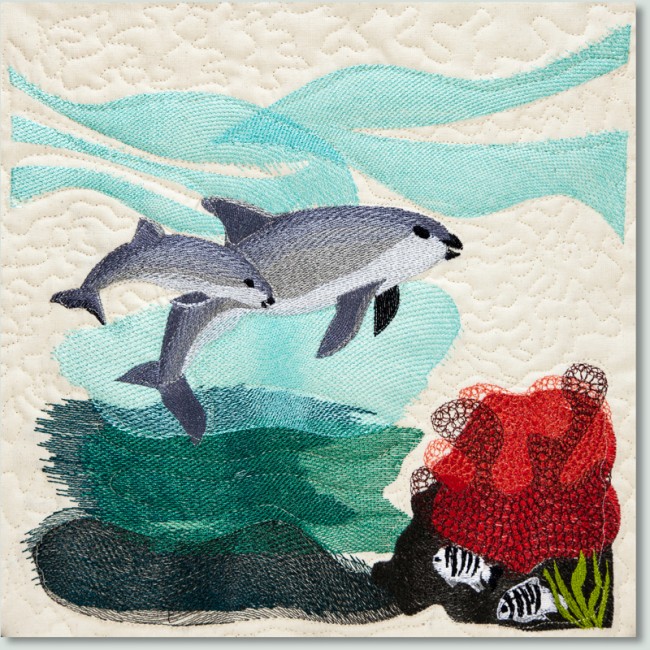 BFC1443 Endangered Species Series - Vaquita