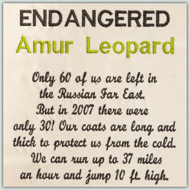 BFC1448 Endangered Species Series - Amur Leopard
