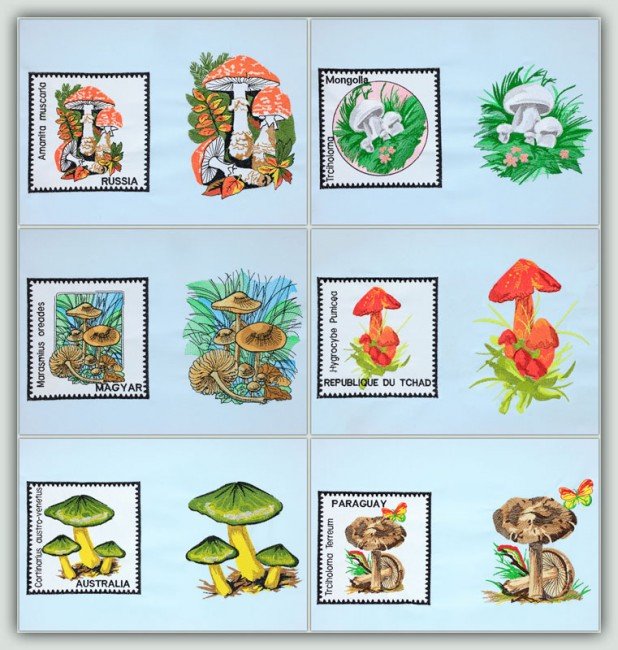 BFC20081 Mushroom combo