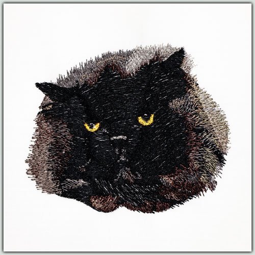 BFC1460 Four Kitten Portraits