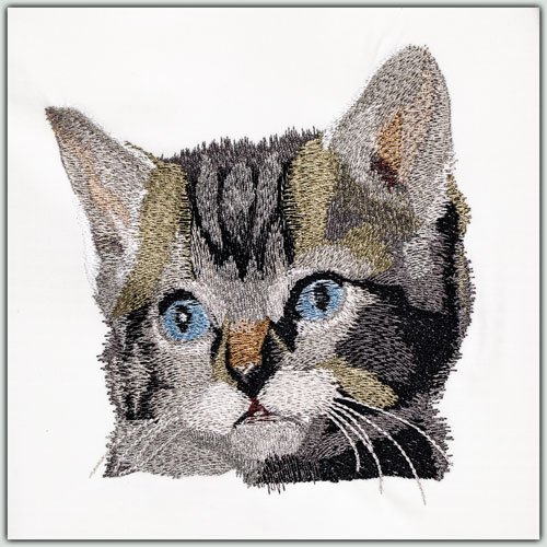 BFC1460 Four Kitten Portraits