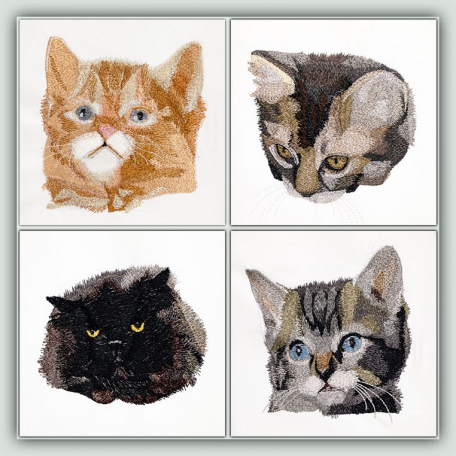 BFC1460 Four Kitten Portraits