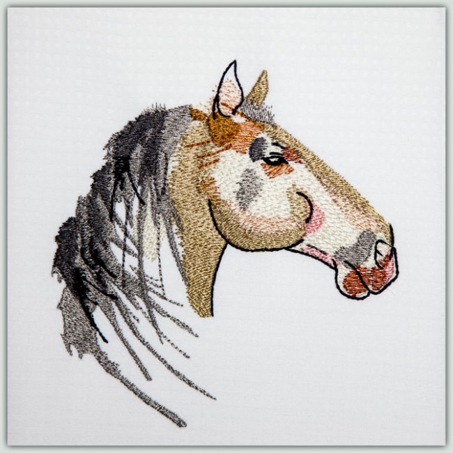 BFC1467 Three Fantasy Horse Portraits