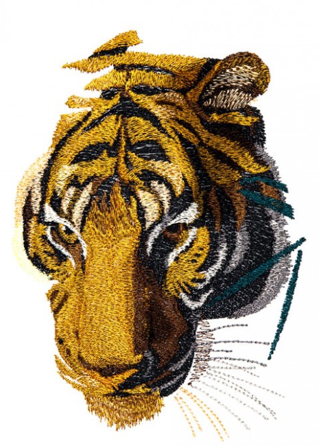 BFC1469 Large Stalking Tiger