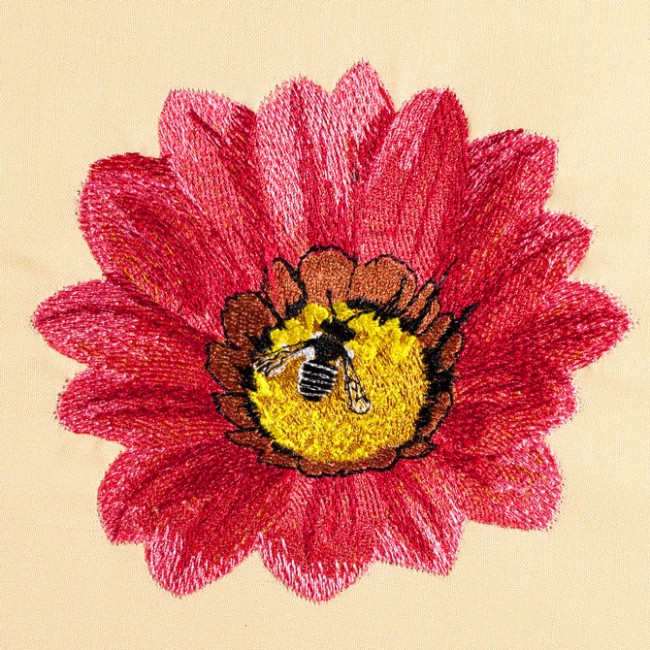 BFC1471 Gazania