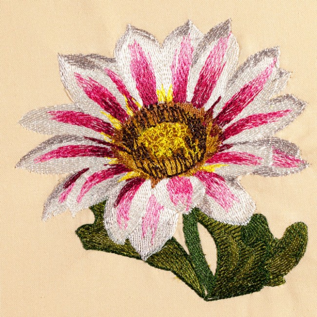 BFC1471 Gazania