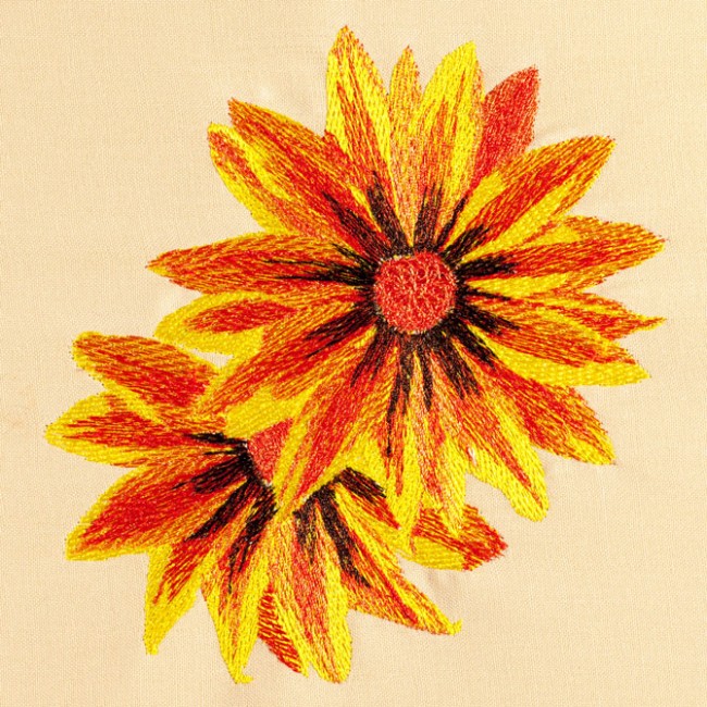 BFC1471 Gazania