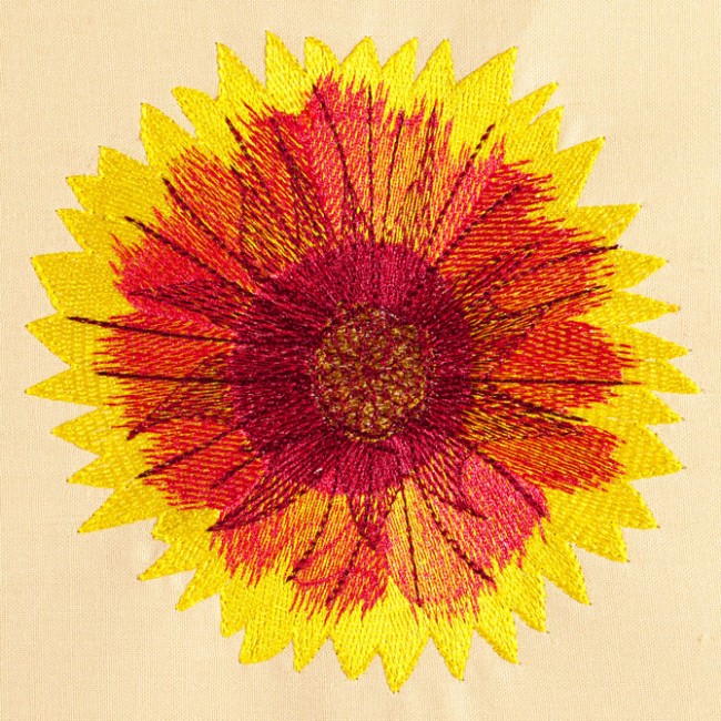 BFC1471 Gazania