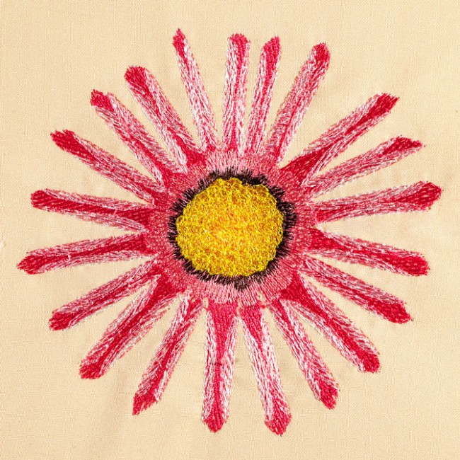 BFC1471 Gazania