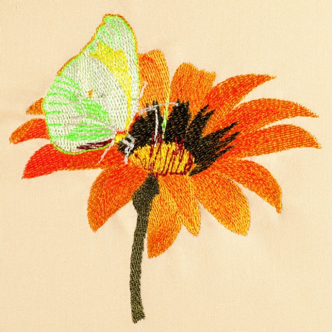 BFC1471 Gazania