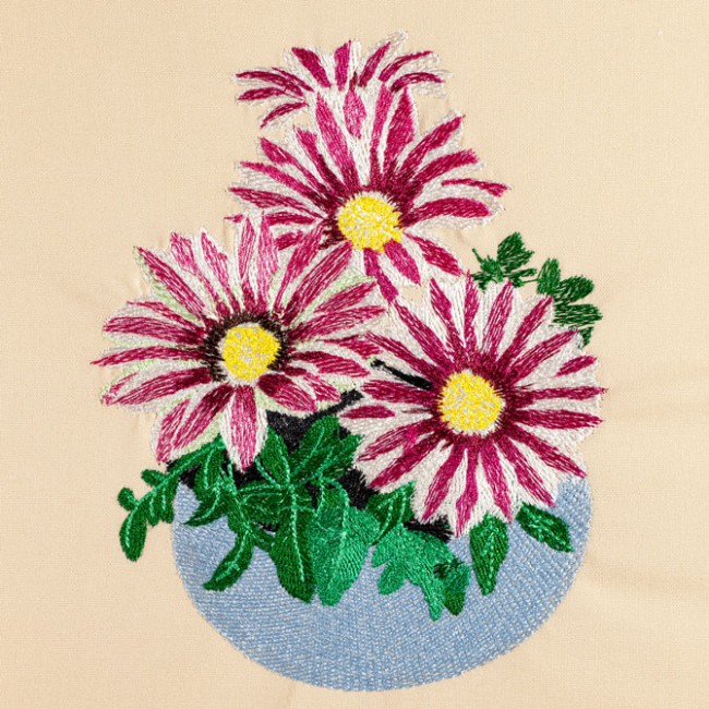 BFC1471 Gazania