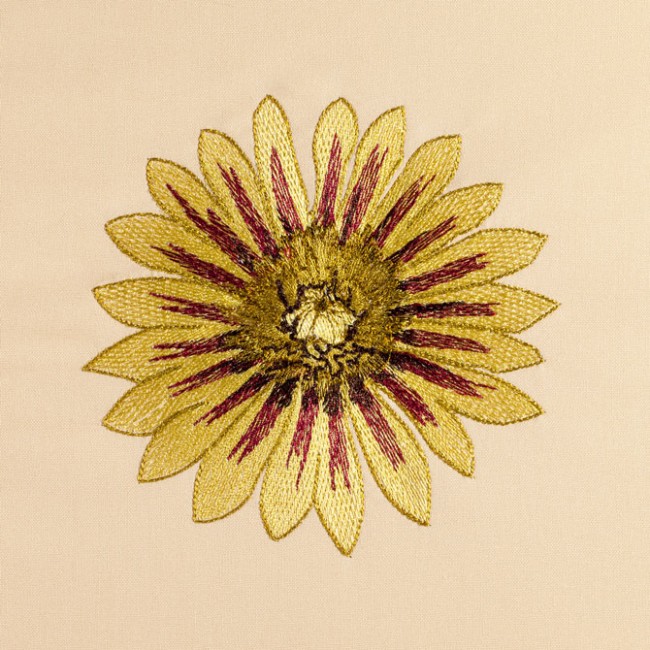 BFC1471 Gazania