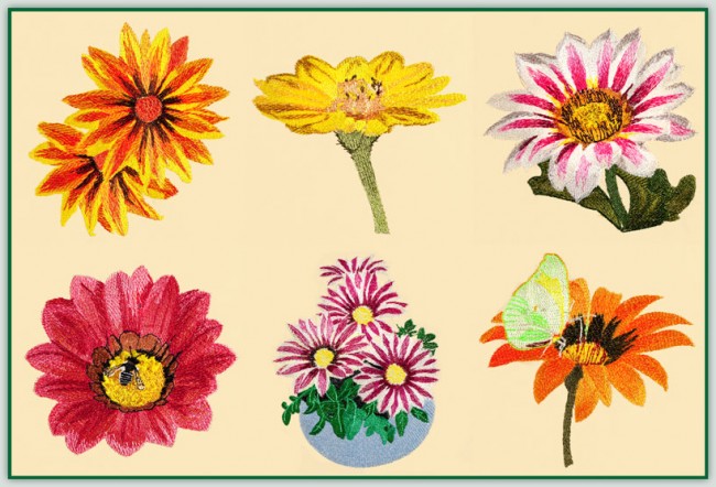 BFC1471 Gazania