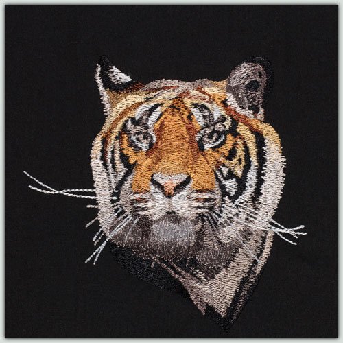 BFC1472 Four Tiger Portraits