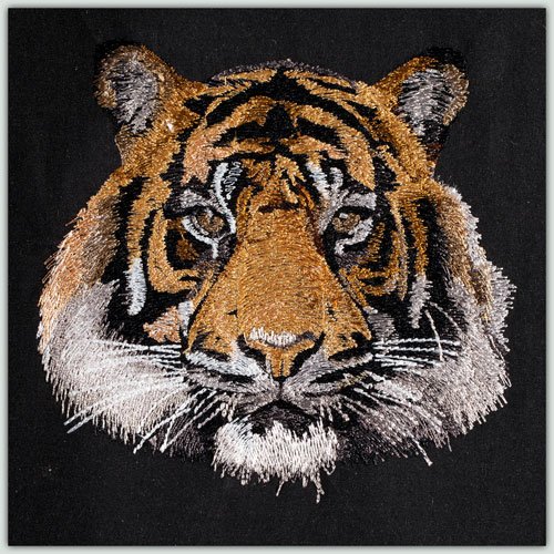 BFC1472 Four Tiger Portraits
