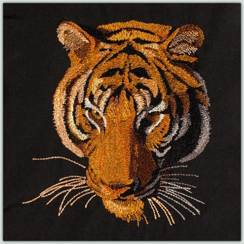 BFC1472 Four Tiger Portraits