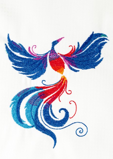 BFC1490 The Phoenixes