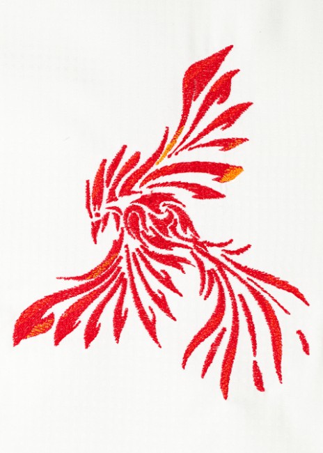 BFC1490 The Phoenixes