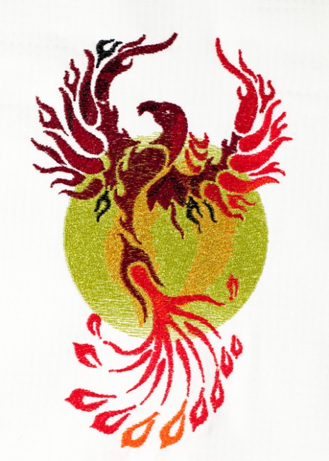BFC1490 The Phoenixes