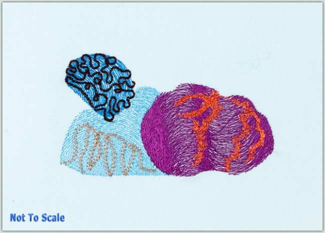 BFC1491 Endangered Species Series - Hawksbill Turtle