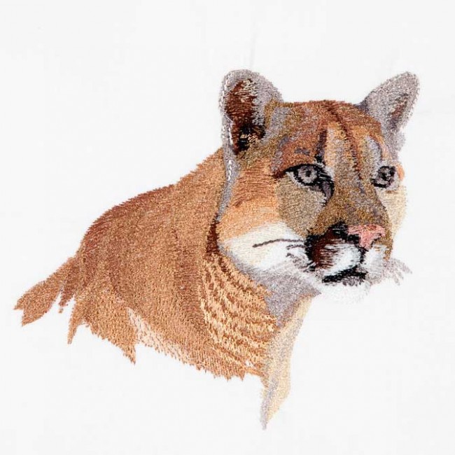 BFC1496 Large Mountain Lion