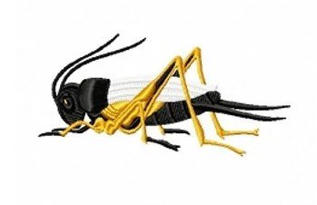 RMG150 Flying Cricket