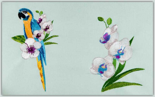 BFC1507 Tropical Birds and Flowers