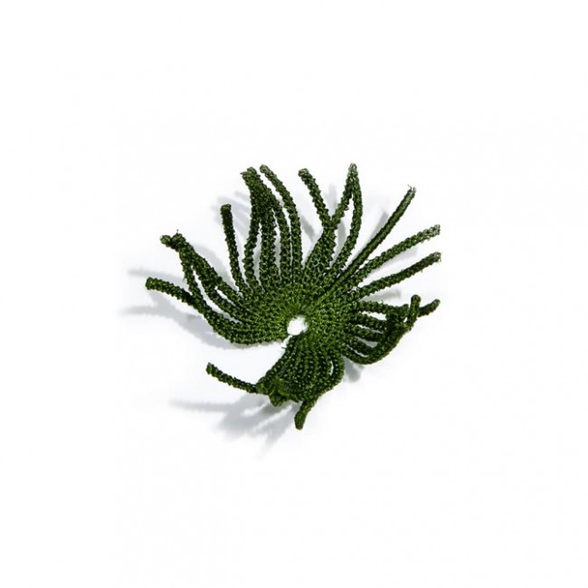BFC1519 FSL Christmas or Winter Wreath